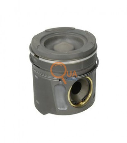 51025006301-Piston Segman Std
