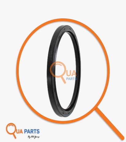 5405392-Krank Keçesi (Arka)