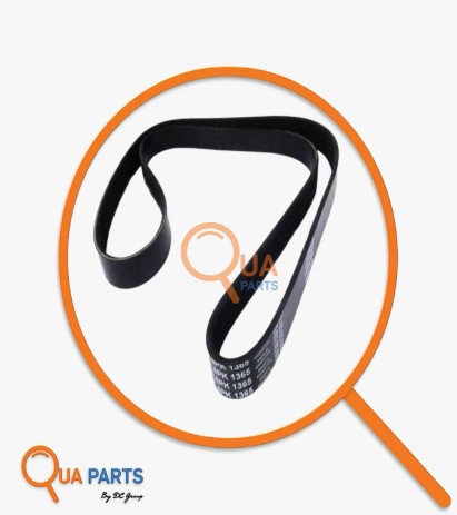 32504019981782-Belt