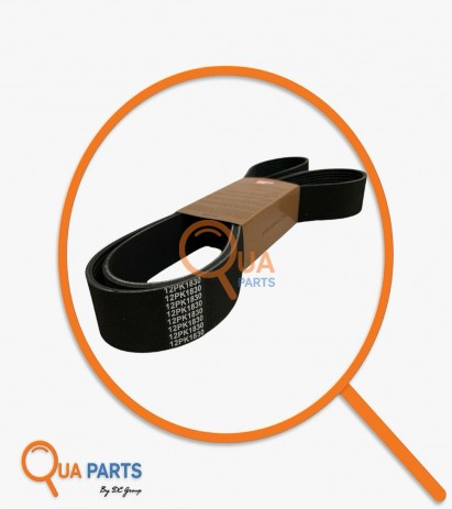 32500341810782-Belt