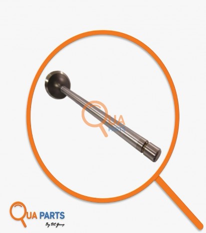 324895051782-Valve (Exhaust)