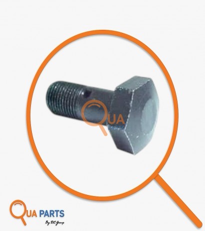 323669900063782-Hollow Screw 3669900063